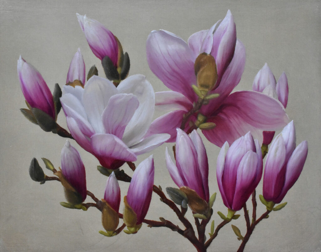 Brendan Johnston, Magnolia Bloom I, Windows Exhibition 2023 (Private Collection)