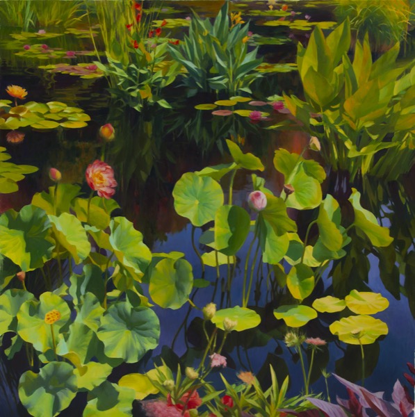 Stein, Adrienne, July Lotus, 48x48, oil on canvas, 2023
