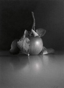 Skip Steinworth, <em>Apple #7</em> (2017 Windows to the Divine Exhibition), <br />Graphite Pencil on Rag Board, 16 x 12, Private Collection