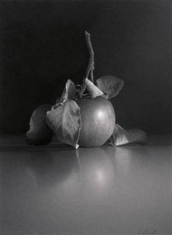 Skip Steinworth, Apple #7 (2017)